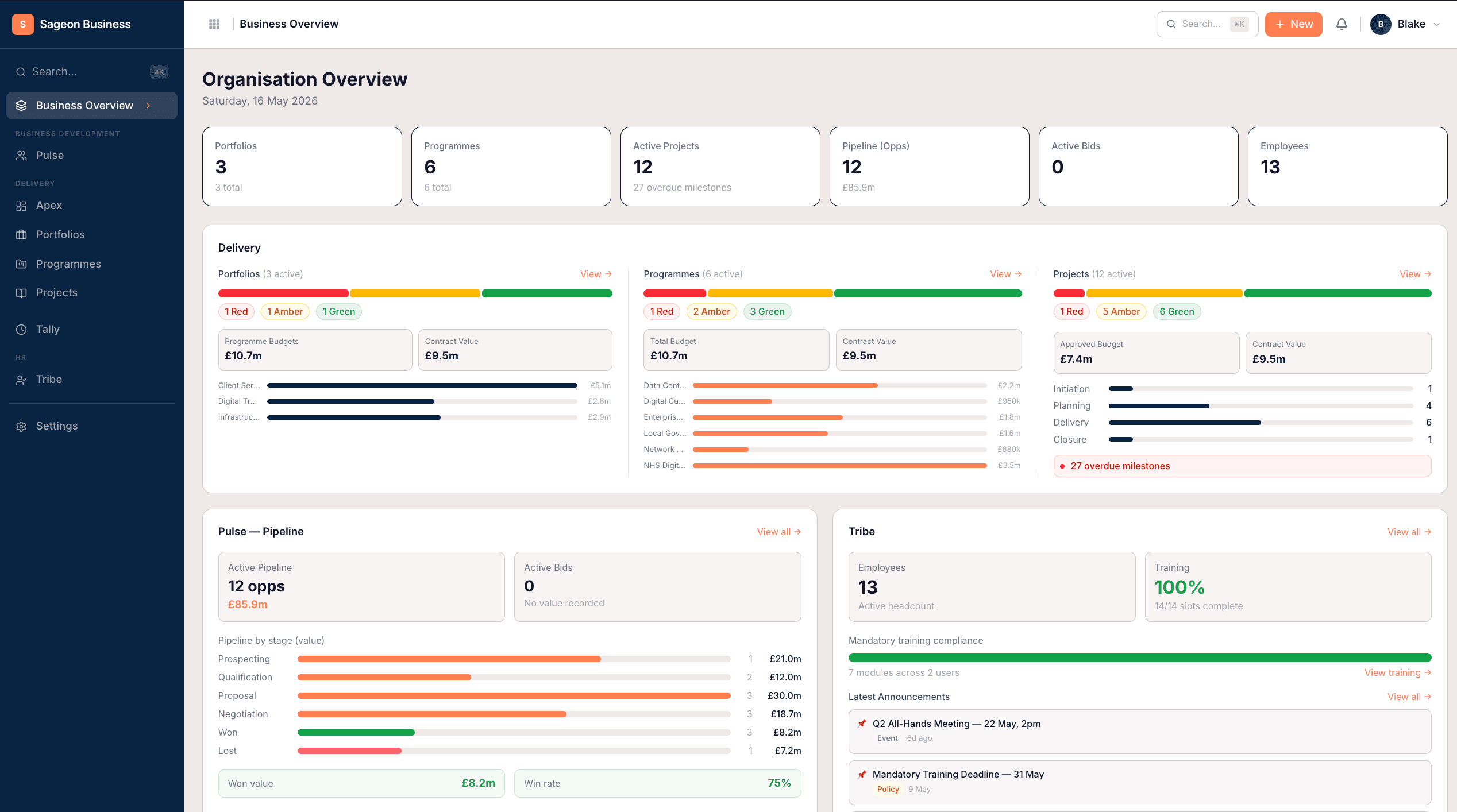Sageon Business - Organisation overview